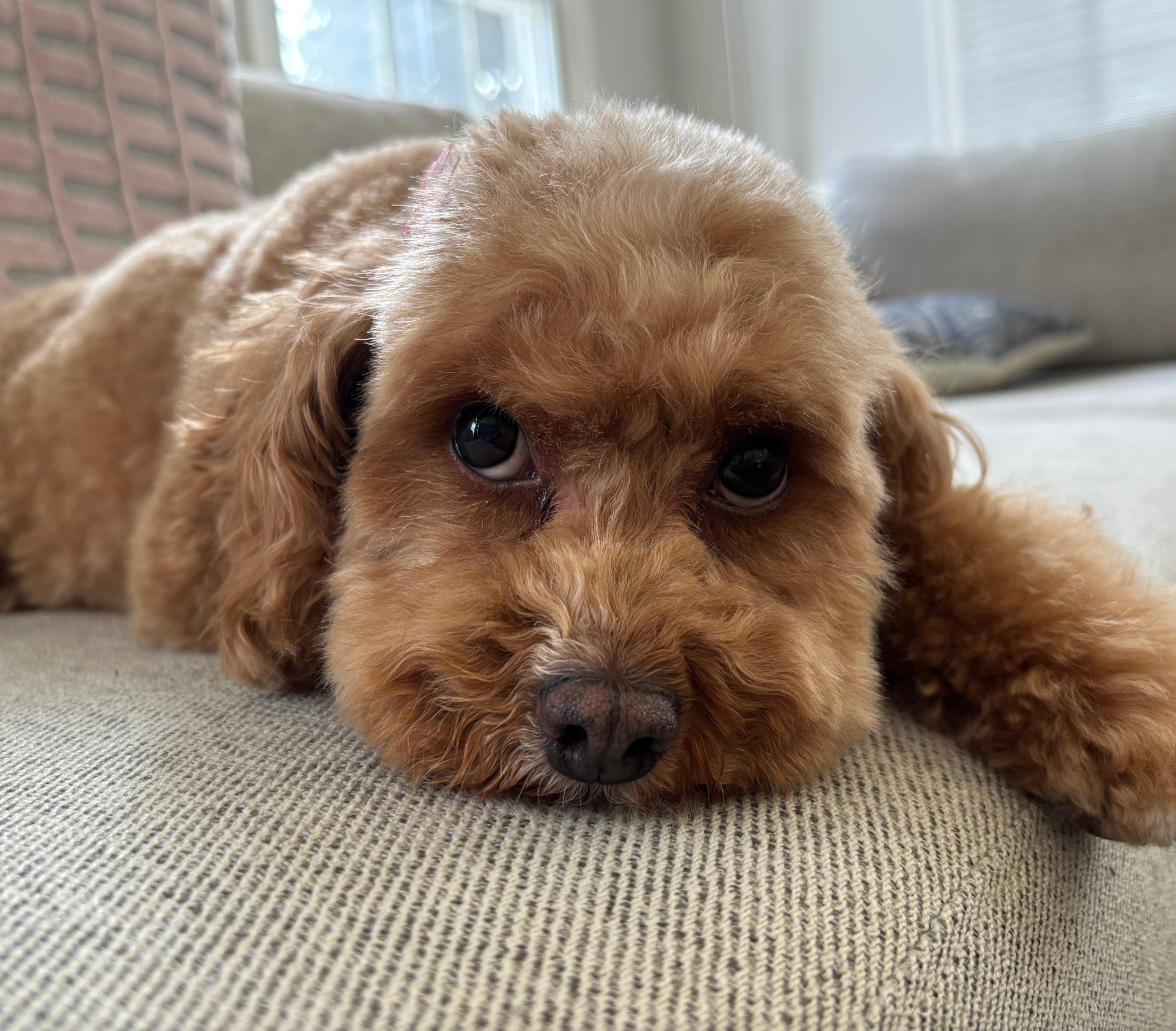 Maggie