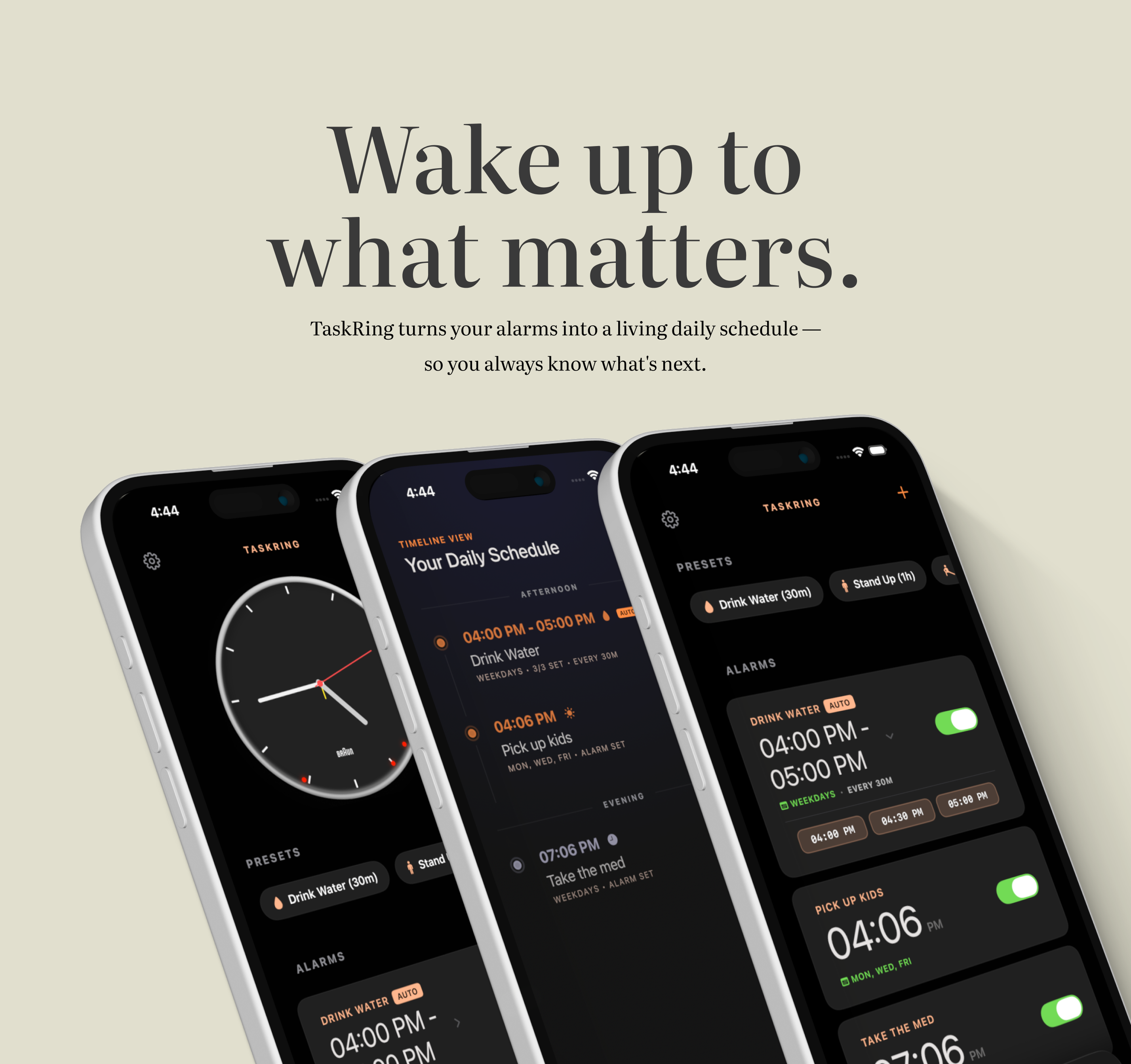 TaskRing iOS App Screen